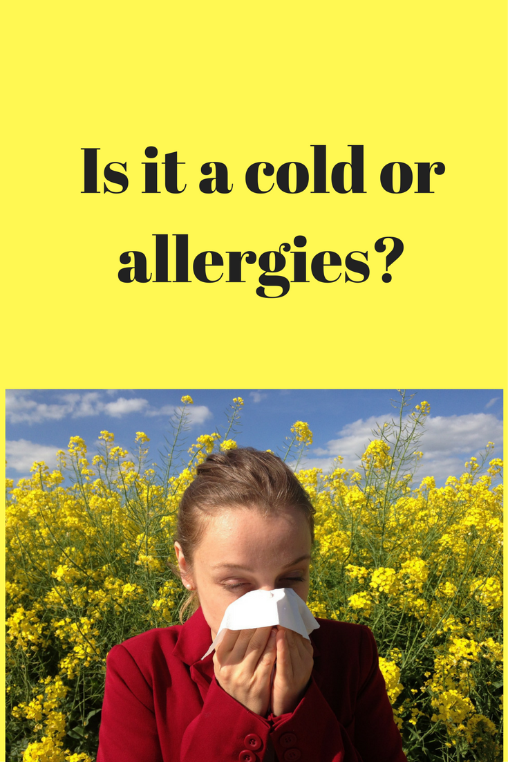cold or allergies