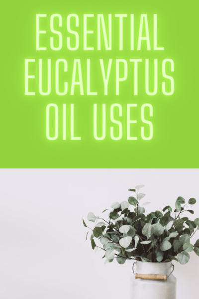 eucalyptus essential oil uses