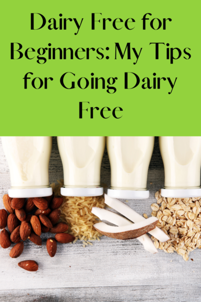 dairy free beginners