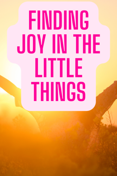 finding joy in the little things