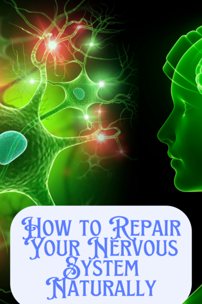 repair your nervous system naturallly