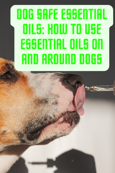 dog safe essential oils