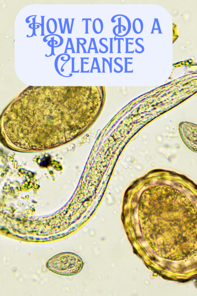 parasites cleanse