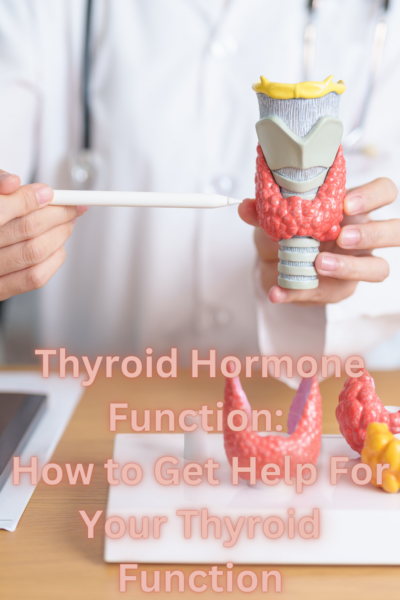 thyroid hormones function