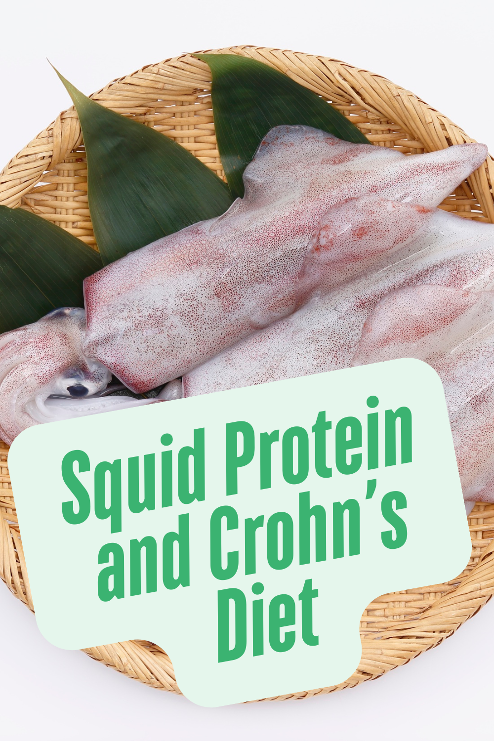 squid protein and crohns diet