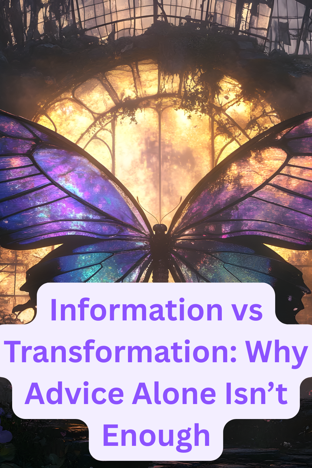 why advice isn't enough